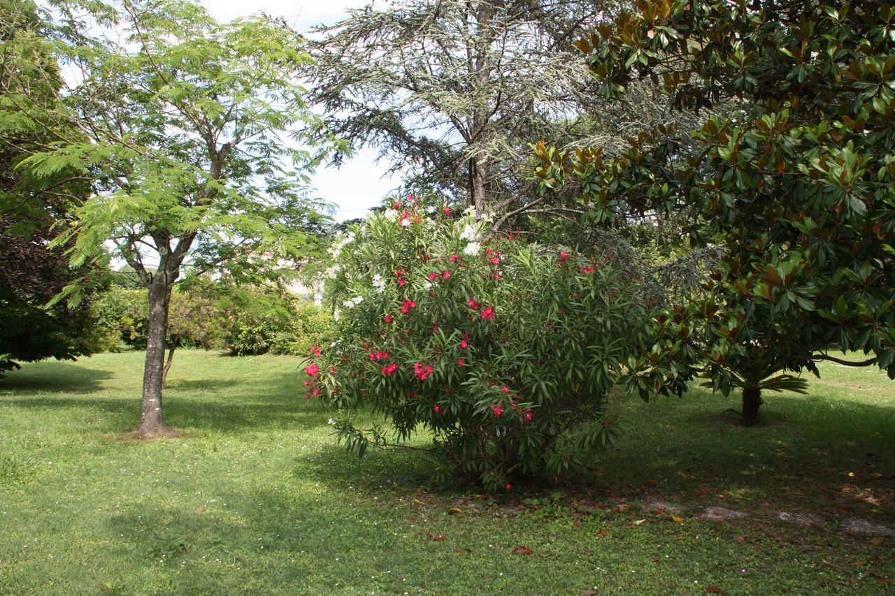 Villa Manon Mouans-Sartoux Buitenkant foto